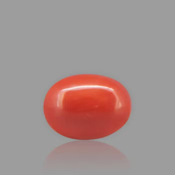 Coral (मूँगा)  | 50-60kg | 5 carat/5.45 Ratti
