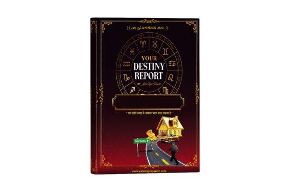 Destiny Kundli Report